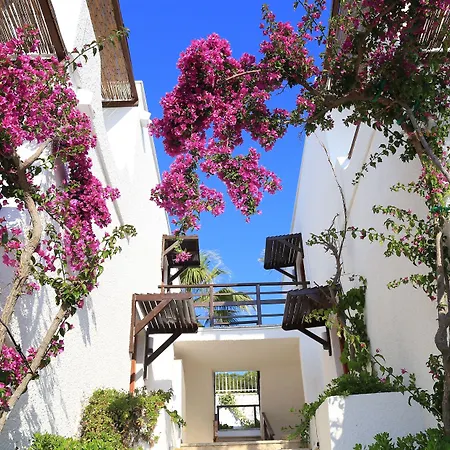 Ceshme Plus Hotel-3